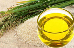 米糠油生產(chǎn)工藝