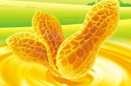 花生油如何保存