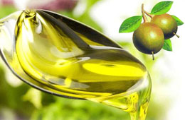 如何鑒別茶籽油優(yōu)劣？