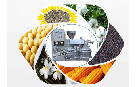 玉米榨油機設備