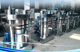 小型芝麻榨油機(jī)