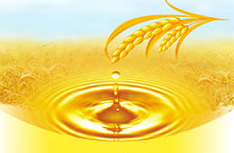 米糠油精煉工藝