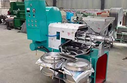 全自動(dòng)榨油機(jī)多少錢