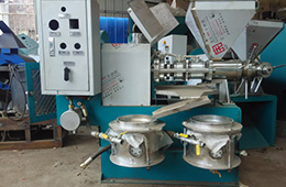 榨油機(jī)成套設(shè)備多少錢?