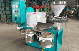 菜籽油壓榨設備