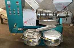 全自動菜籽油壓榨機