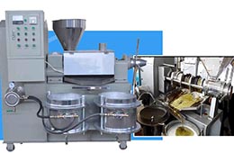 菜籽榨油機(jī)多少錢？