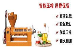 茶油榨油機多少錢一臺？