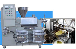 芝麻榨油機多少錢一臺？