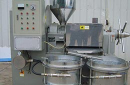 大型榨油機多少錢一臺?