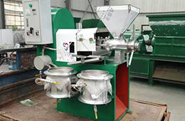 全自動(dòng)胡麻榨油機(jī)