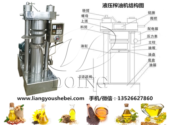 液壓芝麻油榨油機(jī)