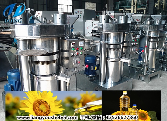 液壓葵花籽油榨油機(jī)