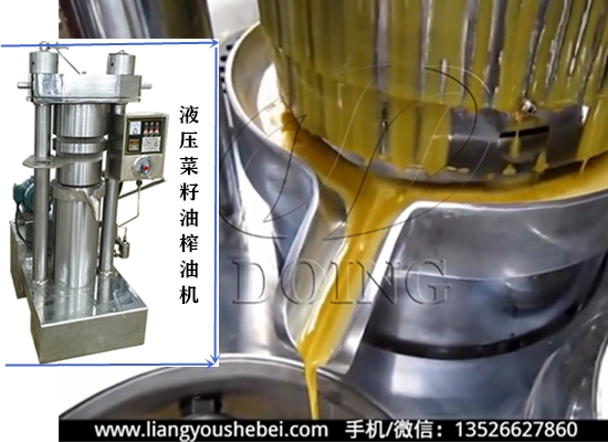 液壓菜籽油榨油機(jī)