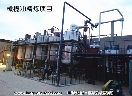 秘魯20噸/天橄欖油精煉項目