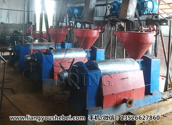 利比里亞3噸/時棕櫚仁壓榨項目