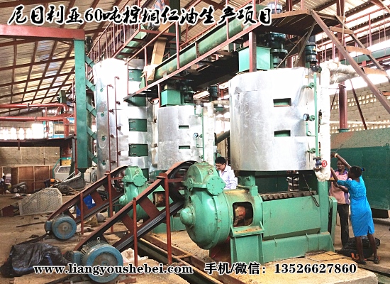 尼日利亞翁多60噸棕櫚仁油壓榨浸出項(xiàng)目