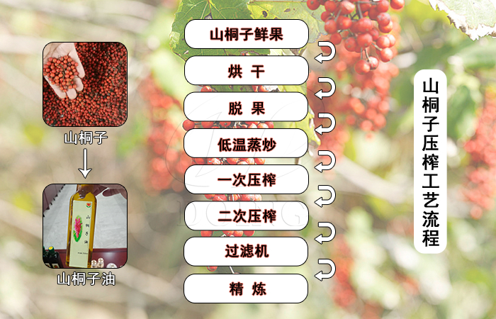 山桐子壓榨工藝