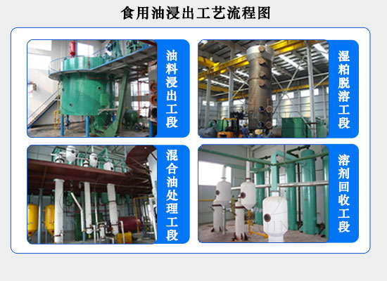 開一個小型浸出油廠需要投資多少錢?