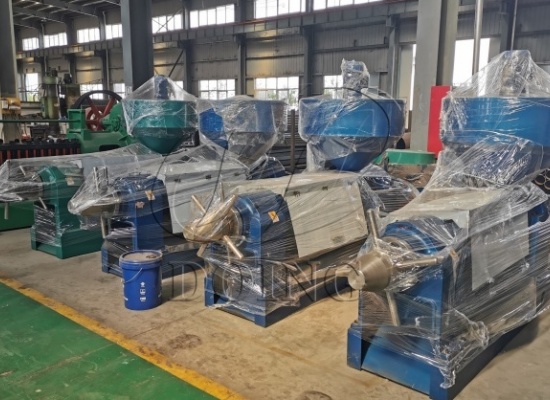 為什么要選擇棕櫚仁專用榨油機(jī)？棕櫚仁專用榨油機(jī)有什么優(yōu)勢？