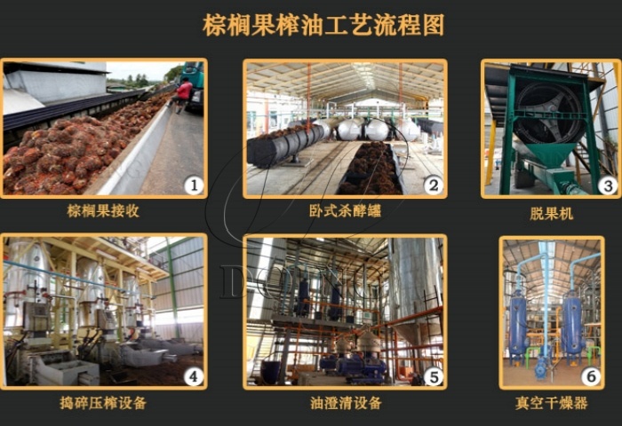 棕櫚果壓榨工藝