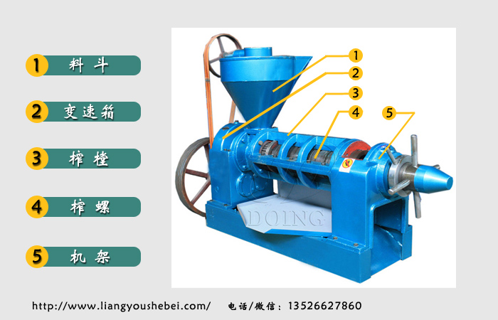 YZYX10-8螺旋榨油機(jī)