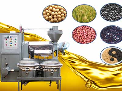 多功能榨油機(jī)