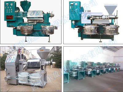 玉米胚芽油榨油機(jī)