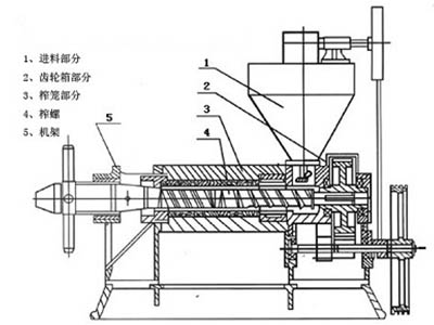 玉米榨油機(jī)結(jié)構(gòu)