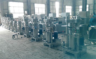 小型芝麻榨油機(jī)