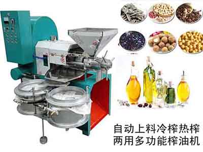 全自動螺旋榨油機(jī)
