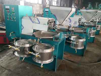 自動(dòng)榨油機(jī)