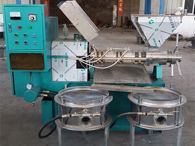 茶籽榨油機(jī)