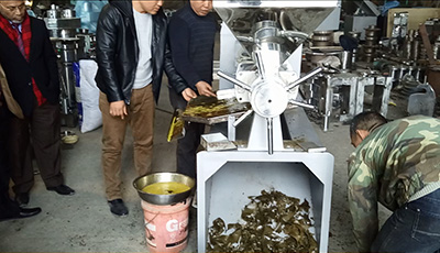 榨油機價格及圖片