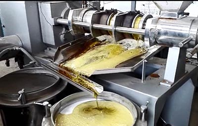 壓榨花生油設(shè)備