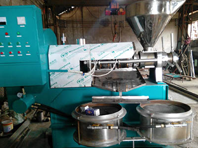 花生油榨油設(shè)備