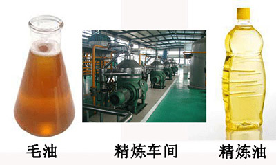 葵花籽油精煉設備
