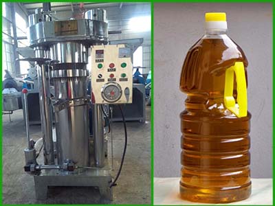 全自動(dòng)液壓榨油機(jī)