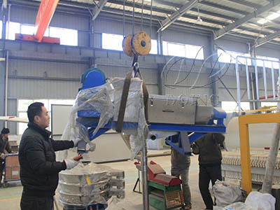 棕櫚果生產(chǎn)線