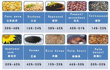榨油機(jī)設(shè)備
