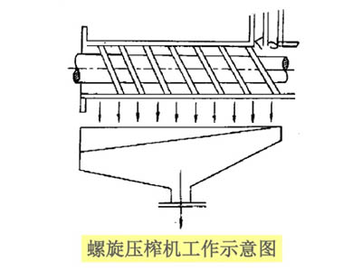 榨油機(jī)設(shè)備