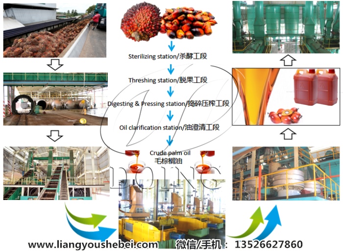 棕櫚油生產(chǎn)設(shè)備