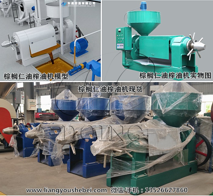 棕櫚仁油榨油機(jī)