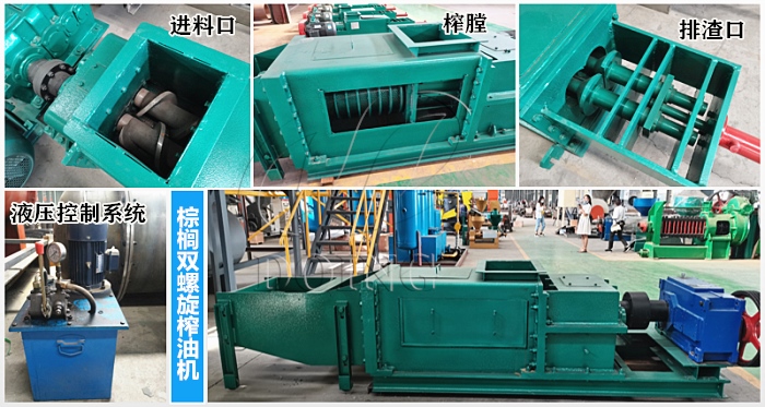 棕櫚雙螺旋榨油機