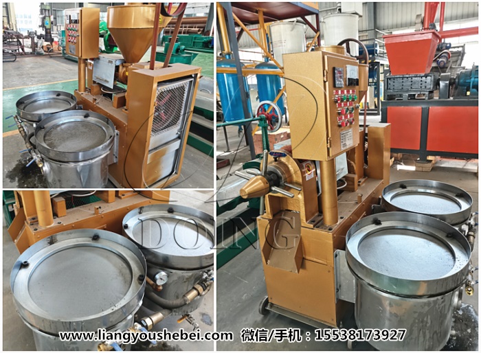 小型多功能榨油機(jī)