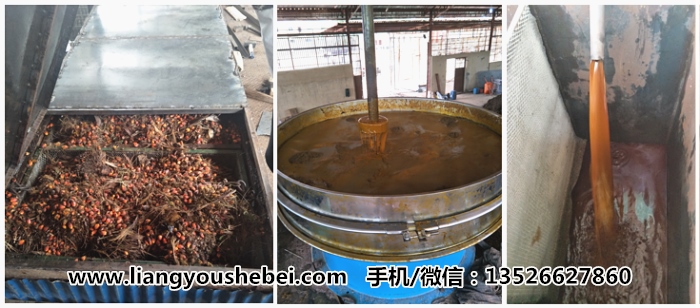 棕櫚壓榨項(xiàng)目