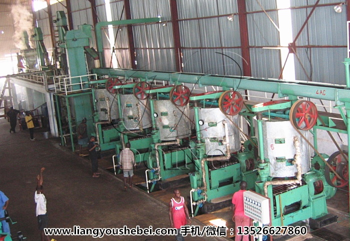 棕櫚仁壓榨項(xiàng)目