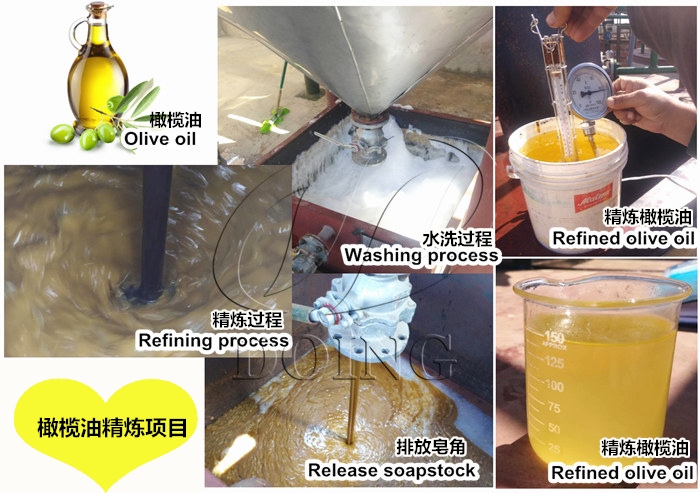橄欖油精煉項(xiàng)目