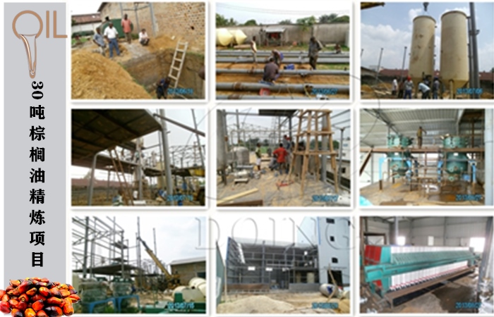 棕櫚油精煉項目