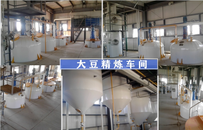 大豆油生產(chǎn)項(xiàng)目